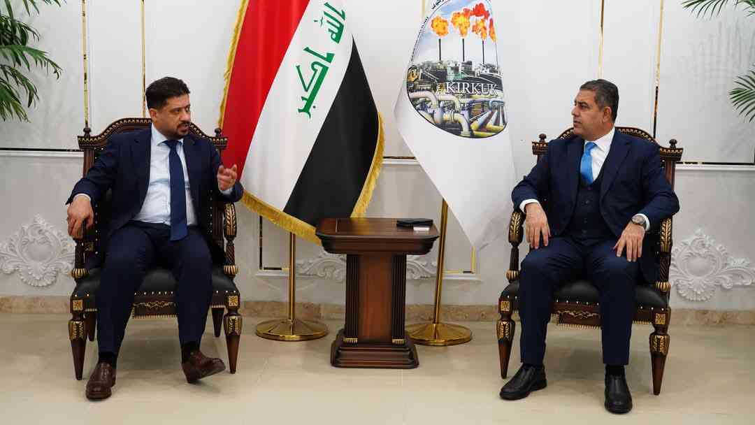النائب الاول الدكتور ياوز حميد