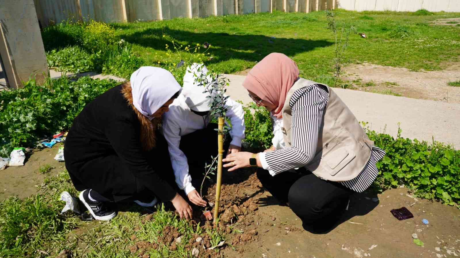 مبادرة للعمل التطوعي في كركوك ..  زراعة اشجار بمدارس تجسد هوية كركوك وتشجعت على زيادة المساحات الخضراء .
